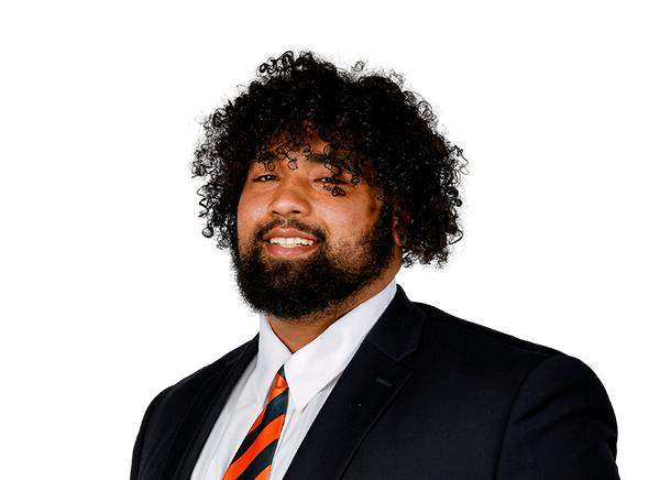 Auburn iOL Brandon Council